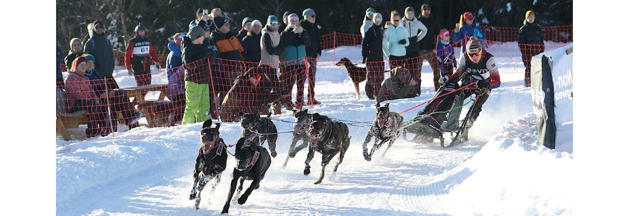 Vårsprinten - nordisk stil og slede sprint - WC, lavterskelløp, sosialt og fellestrening